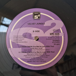 Velvet Jungle C'mon C'mon (I'm Not In Love With You) USED VINYL 12INCH 33 S RPM PROMO