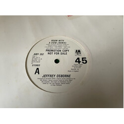 Jeffrey Osborne Room With A View USED VINYL 12INCH PROMO
