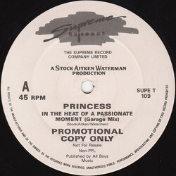 Princess In The Heat Of A Passionate Moment USED VINYL 12INCH 45 RPM PROMO