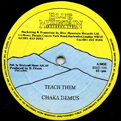 Chaka Demus Teach Them USED VINYL 12INCH 45 RPM