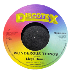 Lloyd Brown Wonderous Things USED VINYL 7INCH 45 RPM