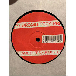 20 Dollars Motel Make It On Time USED VINYL 12INCH PROMO