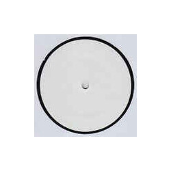 Fruda / Kezi Silverstone What A Feeling USED VINYL 12INCH PROMO WHITE LABEL