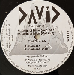 David McEvan Child Of Mine / Seducer USED VINYL 12INCH STEREO