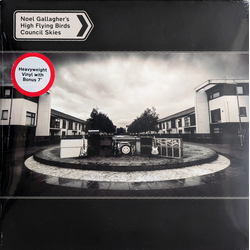 Noel Gallagher's High Flying Birds Council Skies Multi Vinyl LP/Vinyl 7" USED