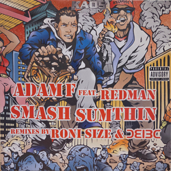 Adam F / Redman Smash Sumthin (Remixes) Vinyl 12" USED