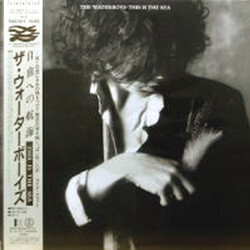 The Waterboys This Is The Sea Vinyl LP USED
