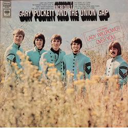 Gary Puckett & The Union Gap Incredible Vinyl LP USED