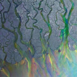 Alt-J An Awesome Wave Vinyl LP USED