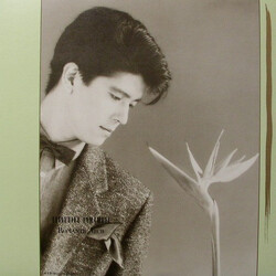 Tatsuhiko Yamamoto Romantic View = ロマンティック・ビュー Vinyl LP USED
