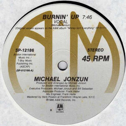 Michael Jonzun Burnin' Up USED VINYL 12INCH 45 RPM