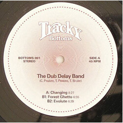 The Dub Delay Band Changing USED VINYL 12INCH