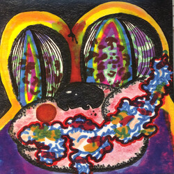 Cage The Elephant Thank You Happy Birthday Vinyl LP USED