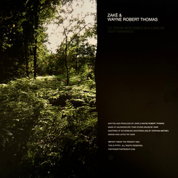zakè / Wayne Robert Thomas To Those Who Dwelt In A Land Of Deep Darkness Vinyl LP USED