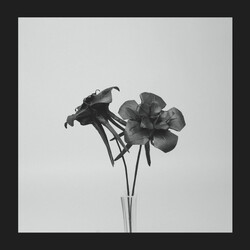 Jlin Dark Lotus USED VINYL 12INCH 45 RPM