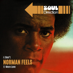 Norman Feels Don't Vinyl 7" USED