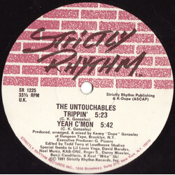 The Untouchables Take A Chance USED VINYL 12INCH 33 S RPM