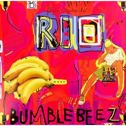The Bumblebeez Flying Down To Rio Vinyl 12" USED