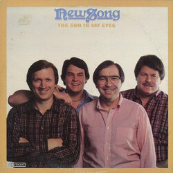 NewSong The Son In My Eyes Vinyl LP USED