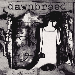 Dawnbreed Unvollkommenheit Vinyl 7" USED