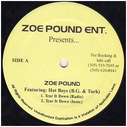 Zoe Pound / Hot Boys Tear It Down Vinyl 12" USED