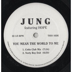 Jung (2) / Hope (7) You Mean The World To Me USED VINYL 12INCH 33 S RPM PROMO