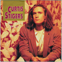 Curtis Stigers I Wonder Why Vinyl 7" USED