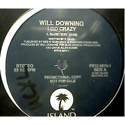 Will Downing I Go Crazy USED VINYL 12INCH 33 S RPM SINGLE PROMO STEREO