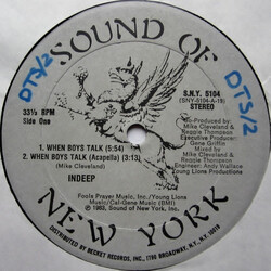 Indeep When Boys Talk USED VINYL 12INCH 33 S RPM STEREO