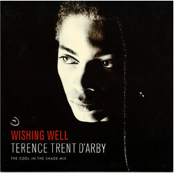Terence Trent D'Arby Wishing Well (The Cool In The Shade Mix) USED VINYL 12INCH 33 S RPM STEREO