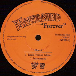 Mastamind Forever VINYL 12" USED