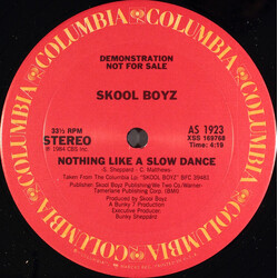Skool Boyz Nothing Like A Slow Dance USED VINYL 12INCH 33 S RPM PROMO