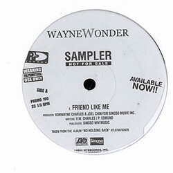 Wayne Wonder Friend Like Me / Enemies USED VINYL 12INCH PROMO