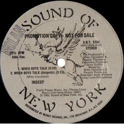 Indeep When Boys Talk USED VINYL 12INCH 33 S RPM PROMO