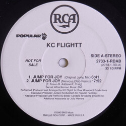 KC Flightt Jump For Joy VINYL 12" USED