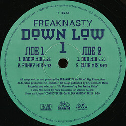 Freak Nasty Down Low VINYL 12" USED