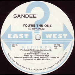 Sandee You're The One VINYL 12" USED