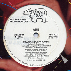 AKB Stand Up-Sit Down VINYL 12" USED