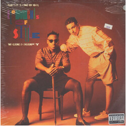 Elements Of Style (2) That's The Kind Of Girl / Walking In Harmony USED VINYL 12INCH
