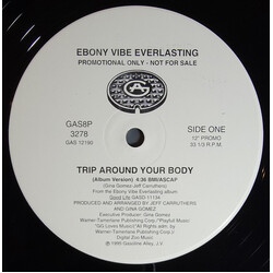 Ebony Vibe Everlasting Trip Around Your Body USED VINYL 12INCH PROMO