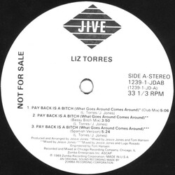Liz Torres Pay Back Is A Bitch (What Goes Around Comes Around) USED VINYL 12INCH PROMO 33 S RPM