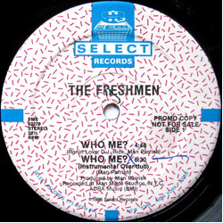 The Freshmen Who Me? VINYL 12" USED
