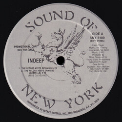 Indeep The Record Keeps Spinning VINYL 12" USED
