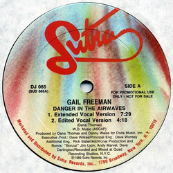 Gail Freeman Danger In The Airwaves VINYL 12" USED