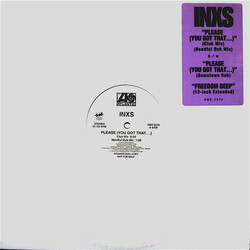 INXS Please (You Got That...) VINYL 12" USED