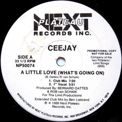 Ceejay A Little Love (What's Going On) USED VINYL 12INCH 33 S RPM PROMO