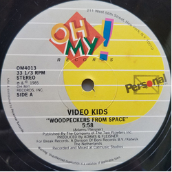 Video Kids Woodpeckers From Space VINYL 12" USED