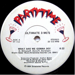 Ultimate 3 MC's What Are We Gonna Do? USED VINYL 12INCH 33 S RPM STEREO