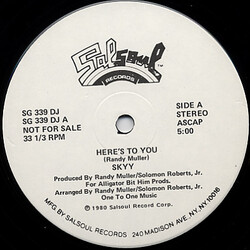 Skyy Here's To You VINYL 12" USED