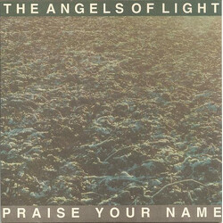 The Angels Of Light Praise Your Name USED VINYL 7INCH 33 S RPM SINGLE